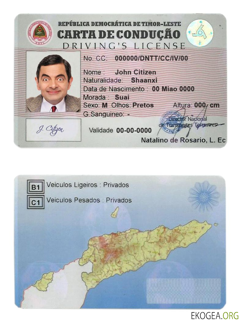 Timor Leste driving license